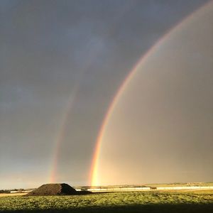 Meet your Posher, Katelyn